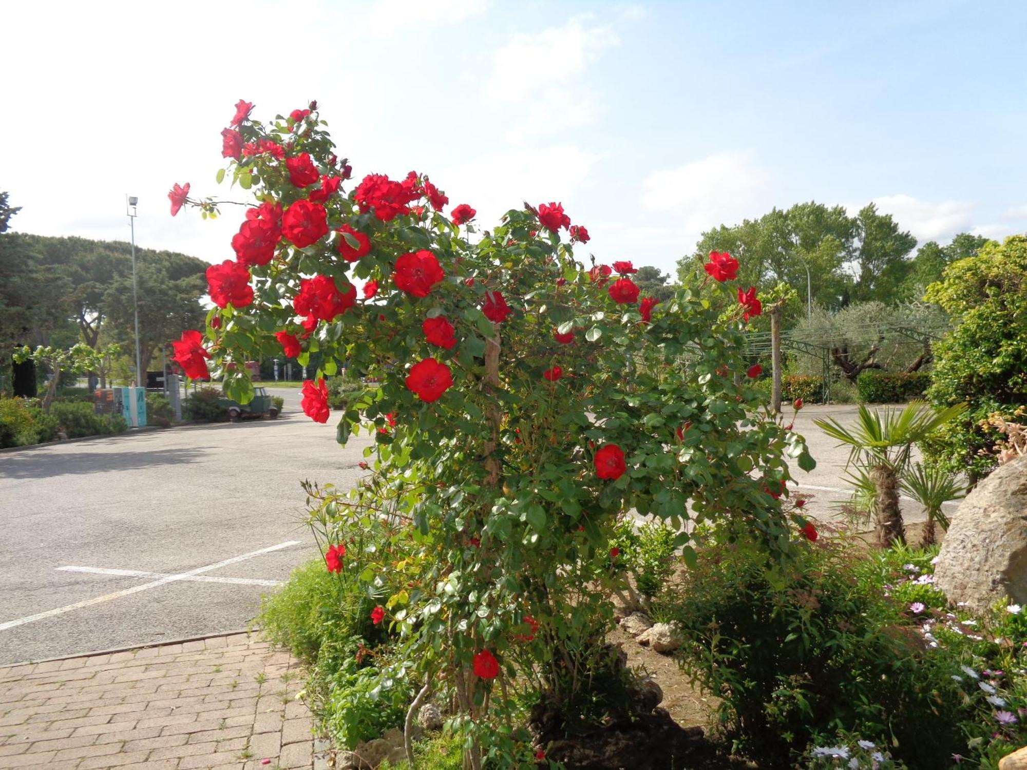 Hotel Rosati Chiusi Esterno foto